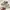 New Balance Sportswear Casual Sneakers Pria Gray