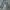 JNCO Vintage Streetwear Casual pants Pria gray photo 3