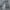 JNCO Vintage Streetwear Casual pants Pria gray photo 4