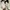 Converse Indie Casual Sneakers Wanita gold white photo 3
