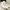 Converse Indie Casual Sneakers Wanita gold white photo 5