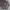 Y2K Skater Track jacket Pria gray photo 2