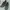 Adidas Sportswear Minimalist Sneakers Pria white gray photo 1