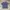 Canterbury Casual Polo shirt Pria blue photo 2