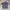 Canterbury Casual Polo Shirt Pria Blue