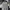 Casual Jumper Pria white photo 1