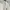 Lacoste Sportswear Casual Bomber jacket Pria white photo 1