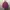Renoma Vintage Hoody Kids purple photo 1