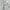 Polo Ralph Lauren Luxury Formal shirt Pria white photo 4