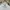 Luxury Minimalist Hoody Pria multicolor photo 2