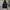 Luxury Minimalist Hoody Pria multicolor photo 1