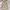 Japanese Brand Cottagecore Midi Dress Wanita Pink Cream