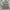 ISTKUNST Streetwear Sweater Pria gray photo 4