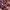 Japanese brand Streetwear Indie Casual shirt Pria multicolor photo 7