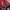 Japanese brand Streetwear Indie Casual shirt Pria multicolor photo 5