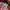 Japanese brand Streetwear Indie Casual shirt Pria multicolor photo 6