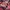 Japanese brand Streetwear Indie Casual shirt Pria multicolor photo 8