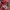 Japanese brand Streetwear Indie Casual shirt Pria multicolor photo 4
