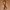 Louis Vuitton Luxury Minimalist Belt Pria brown photo 1