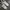 Nike Casual Sneakers Pria White