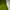 The North Face Gorpcore Hoody Pria green photo 7
