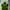 The North Face Gorpcore Hoody Pria green photo 1