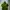 The North Face Gorpcore Hoody Pria Green