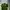 The North Face Gorpcore Hoody Pria green photo 2
