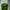 The North Face Gorpcore Hoody Pria Green
