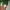 The North Face Gorpcore Hoody Pria green photo 4