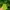 The North Face Gorpcore Hoody Pria green photo 6
