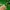 The North Face Gorpcore Hoody Pria green photo 5