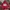 Casual Hoody Pria red photo 1