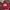Casual Hoody Pria Red