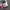 Vintage Streetwear Pria silver photo 4