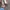 Vintage Streetwear Pria silver photo 5