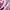 Asics Casual Sneakers Wanita pink gray photo 2