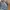 Polo Ralph Lauren Vintage Casual Casual shirt Pria blue photo 2