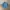 Polo Ralph Lauren Vintage Casual Casual Shirt Pria Blue