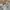 Vintage Streetwear Pria white photo 5