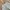 Vintage Streetwear Pria white photo 4
