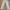 Vintage Streetwear Pria white photo 1