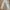 Vintage Streetwear Pria white photo 2