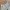 Vintage Streetwear Pria white photo 3