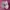 On Running Sportswear Casual Sneakers Wanita white pink photo 5