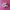 Puma Streetwear Casual Sneakers Wanita green pink photo 1
