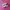 Puma Streetwear Casual Sneakers Wanita Green Pink