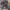 Japanese Brand Vintage Casual Sweatshirt Pria Multicolor
