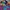 Japanese Brand Vintage Casual Sweatshirt Pria Multicolor