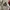 Issey Miyake Vintage Bomber jacket Pria red gray photo 2